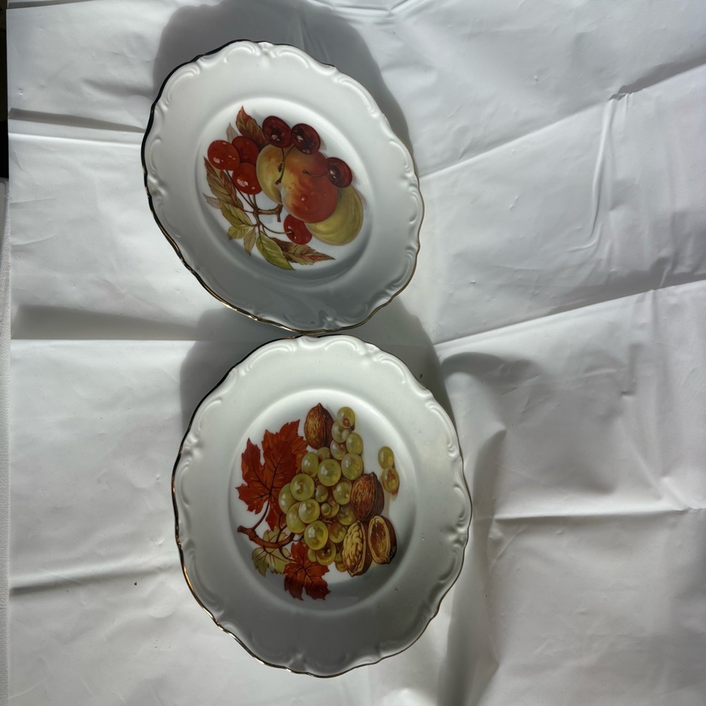 Set of 2 Vintage Winterling Bavaria Plate, salad plates